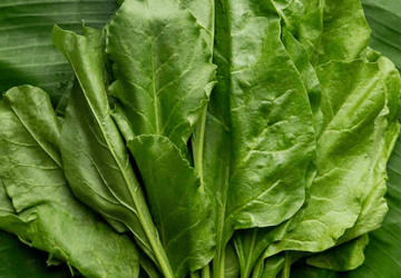 Check these spinach nutritional values