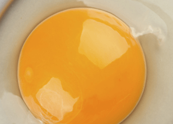 Little-Known Facts About Eggs You Should Know