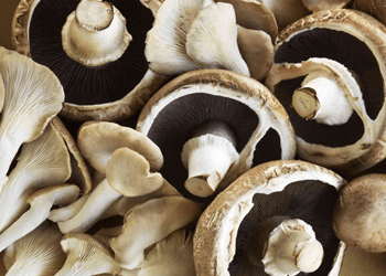 Little-Known Facts About Shiitake Mushrooms