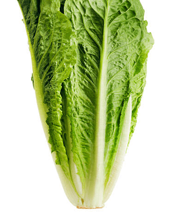 Why Romaine Lettuce Is Good For Your Heart