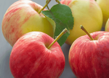 7 Good Reasons Why You Should Eat Apples