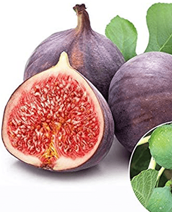 Figs in the Mediterranean Diet – Why You Need It