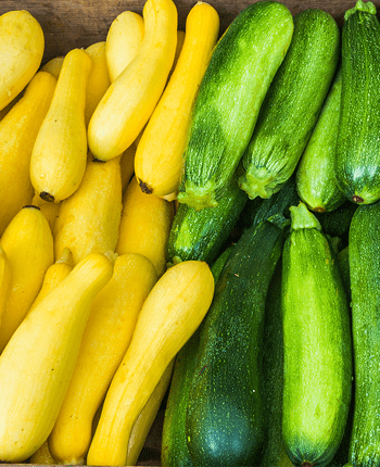 Zucchini in the Mediterranean Diet – Exploring the Healthy Benefits It Can Give