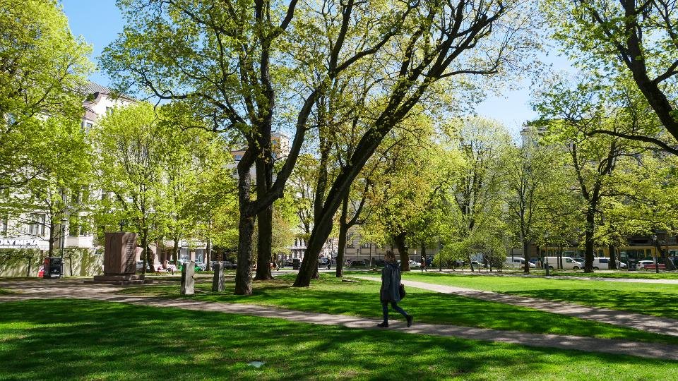 A person in a dark coat walks along a path through a sunny park with tall green trees and grass.