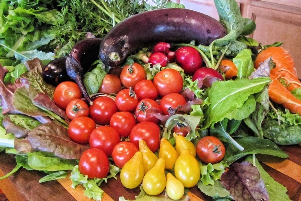 Fresh vegetables on a wooden board: red and yellow tomatoes, eggplants, radishes, carrots and leafy greens