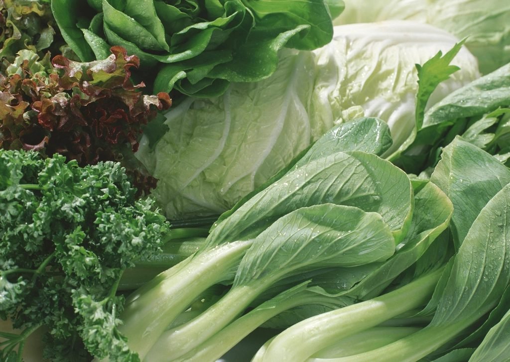 Fresh leafy greens: curly kale, bok choy, napa cabbage and red leaf lettuce with water droplets